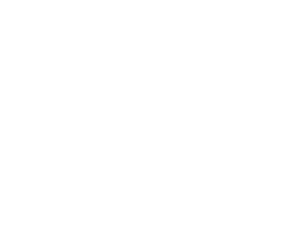 Logo 2060 Foundation — Innovation & Biotech Longévité