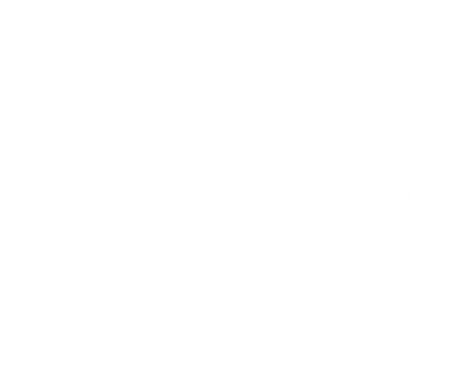 Logo 2060 Foundation - Innovation & Biotech Longévité